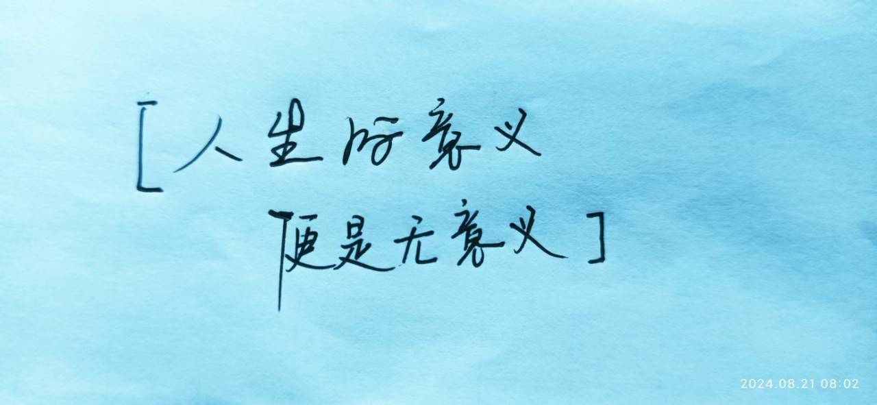思考篇章：人生的意义便是无意义
