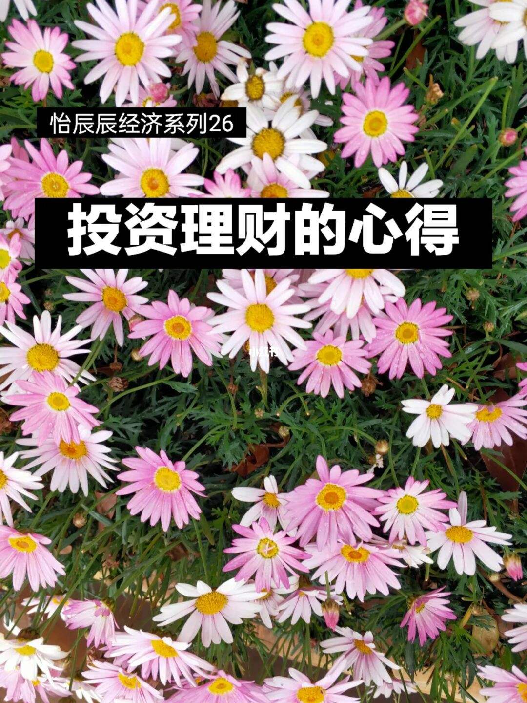 投资与理财心得(投资与理财心得体会1500字)