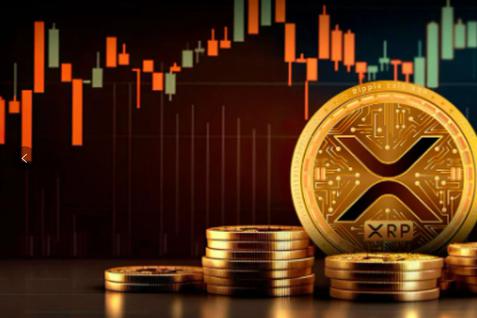 XRP交易(xrp交易手续费)